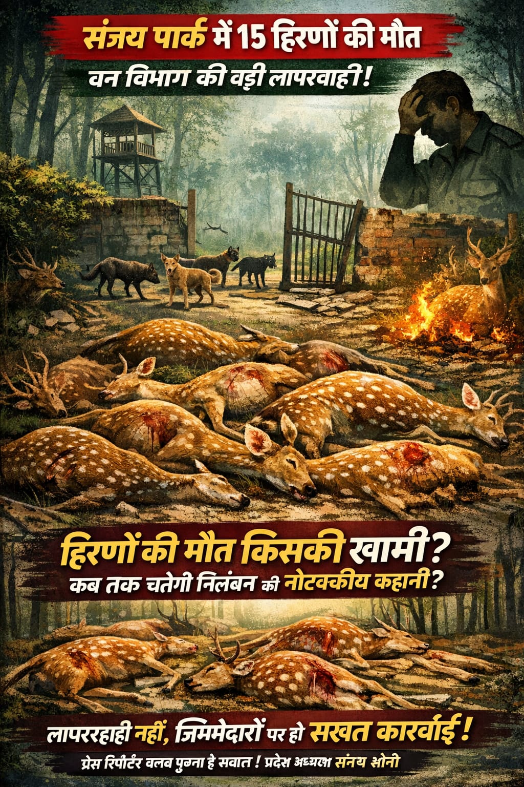 🟥 ब्रेकिंग न्यूज़ | अंबिकापुर (छत्तीसगढ़)🔥 संजय पार्क में 15 हिरणों की मौत — वन विभाग की बड़ी लापरवाही उजागर!