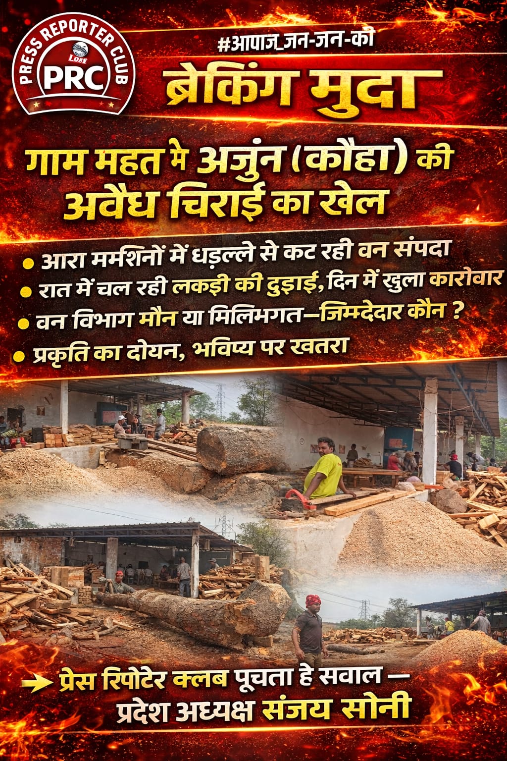 जांजगीर-चांपा के ग्राम पंचायत जग महंत में अर्जुन (कौहा) की अवैध चिराई का खेल