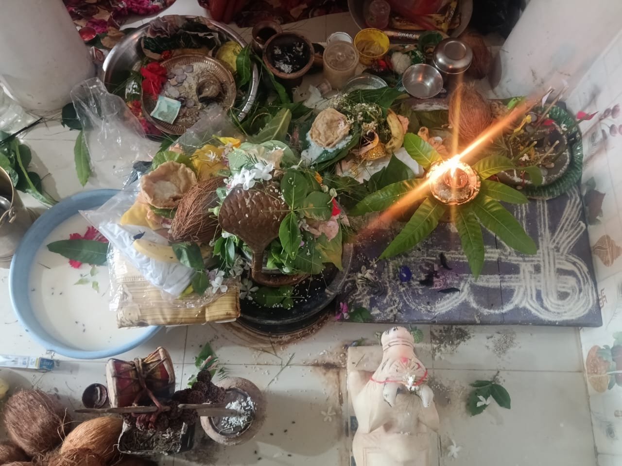 श्रावण सोमवार और नाग पंचमी पर केवटाडीह में गूंजे हर-हर महादेव के जयकारे, रुद्राभिषेक के साथ हुआ भंडारा