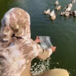 रायगढ़ में 30 दिन, 30 सेवा कार्य संकल्प का 11वां दिन – सुश्री अलिशा अंसारी ने किया जल जीव सेवा अभियान