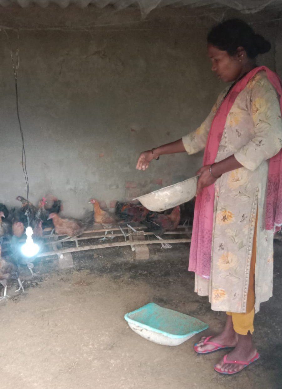 कहानी बदलाव की: मुर्गी पालन से आत्मनिर्भर बनी धरमजयगढ़ विकासखंड की रजनी